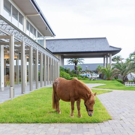 Ryugujo Spa Hotel Mikazuki Ryugutei Кісарадзу Екстер'єр фото